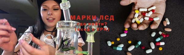 PSILOCYBIN Балахна