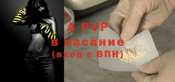 PSILOCYBIN Балахна