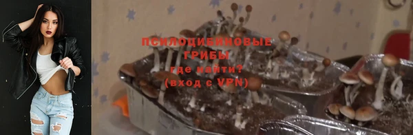 PSILOCYBIN Балахна